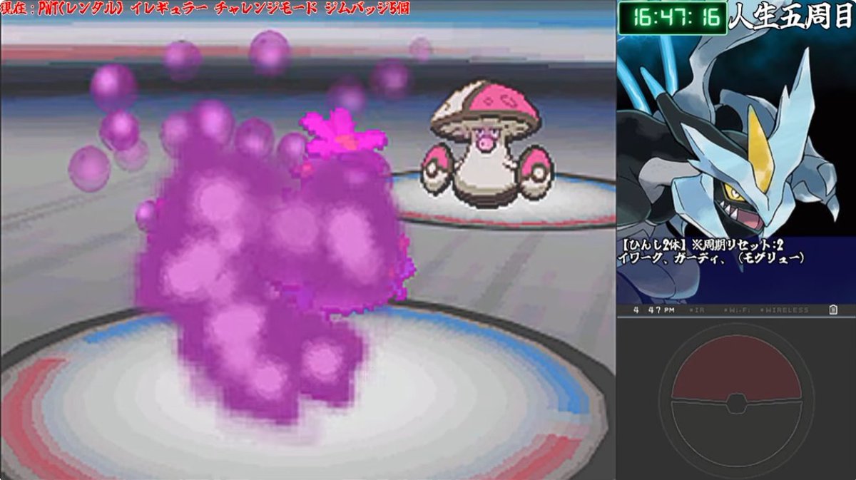 gtknkenzen59's tweet photo. ポケモンBW２人生縛り チャレンジモード#12+α 
PWTのレンタルトナメ遊んでみたけどモロバレルがバケモノでしたねぇ
本編はギリギリ調整したけど個体値が1な影響で油断したら負けそうでしたねぇ
配信ご視聴ありがとうございました！
次回は月曜夜にやります！
#ポケットモンスターブラック２ 
#人生縛り https://t.co/hfVAfcqgBr