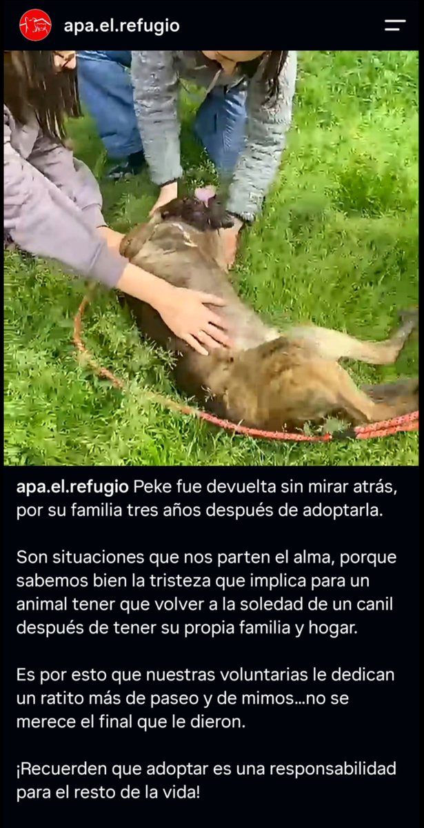 KioscoToni's tweet photo. SÁBADO DE ADOPCIONES Y COLABORACIÓN.
Para compartir lo vivido por Peke en @apaelrefugio, de como muchos aún consideran a una mascota como un juguete desechable.
Y para renovar la invitación al local de Gangas de @LigaBichera, otra forma de colaborar. https://t.co/BXKgfEFlp1