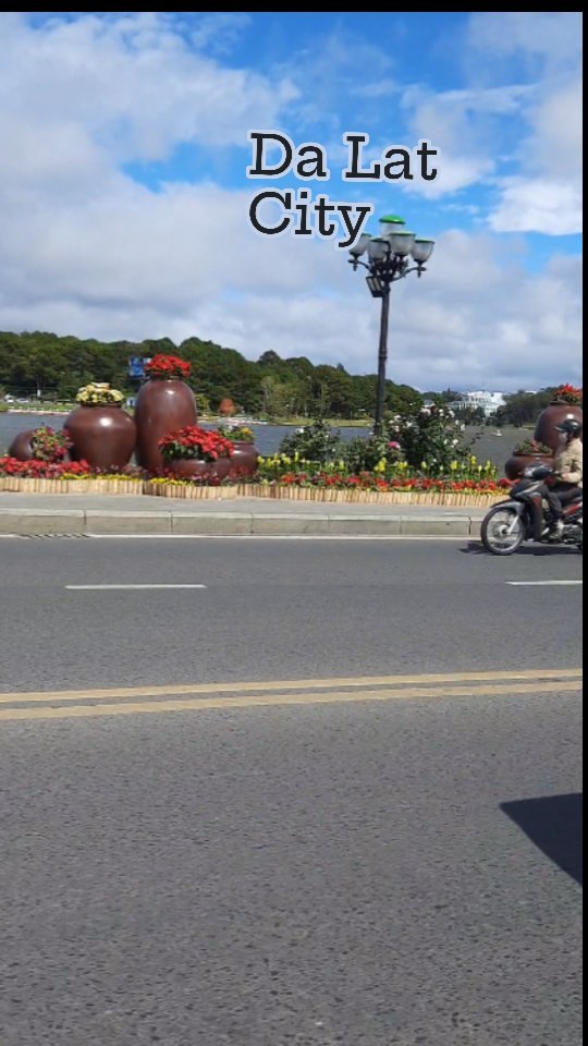 aronWal194586's tweet photo. Da Lat, Vietnam. https://t.co/PnxzG1OT6i