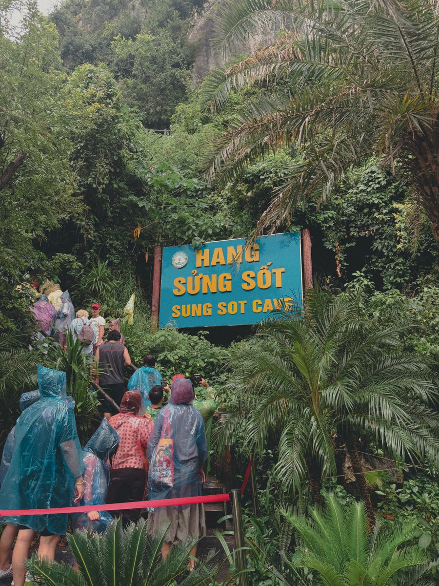 nilaydzgrn's tweet photo. Sung Sot Cave, also known as Surprise Cave, is a breathtaking natural wonder in Ha Long Bay. https://t.co/FOY81vOpoe