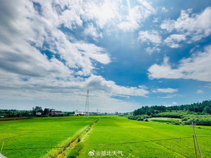 iMaL2Qd9WYIgrl5's tweet photo. [行蓝邓林、今日も元気だ！]， https://t.co/nb34fjpAj5