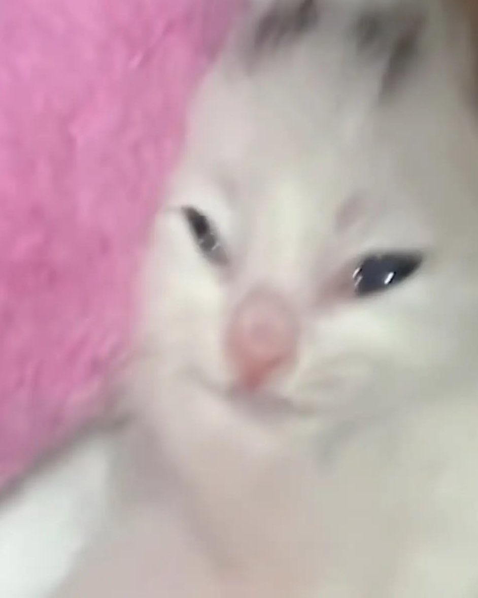 nnakkakkitta tweet picture