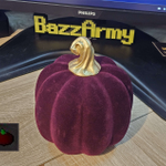 Photo by Bazz🦁6x5.8b Comp'd🏆60B+ XP (@Bazz_Army)