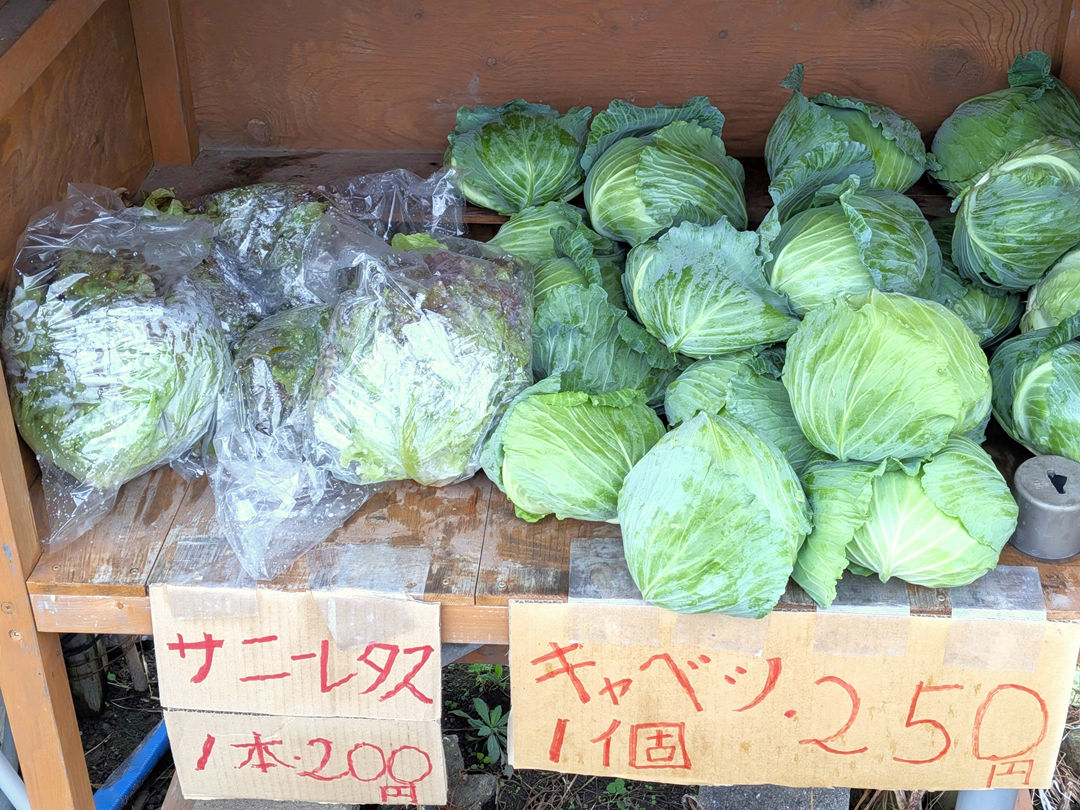 JapanCourse's tweet photo. 2026年10月 高知県の良心市「キャベツ・レタス（物価）情報」

1玉

🥬キャベツ 250円

🥬レタス・サニーレタス 200円

場所（地図）は返信へ https://t.co/Gfb6ds2Wzv