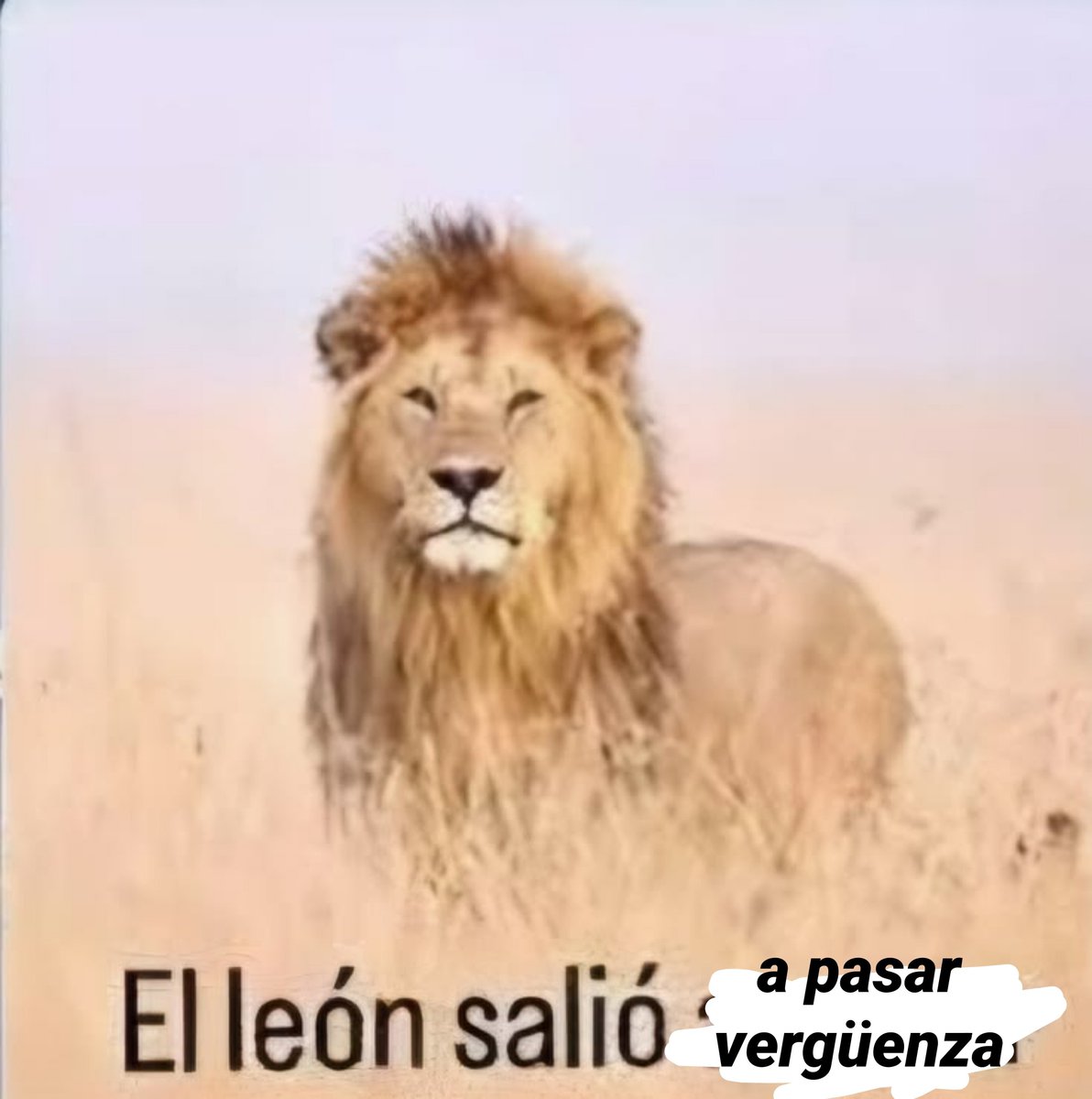 Naach41's tweet photo. yo en la vida https://t.co/qnpdzn7eQg