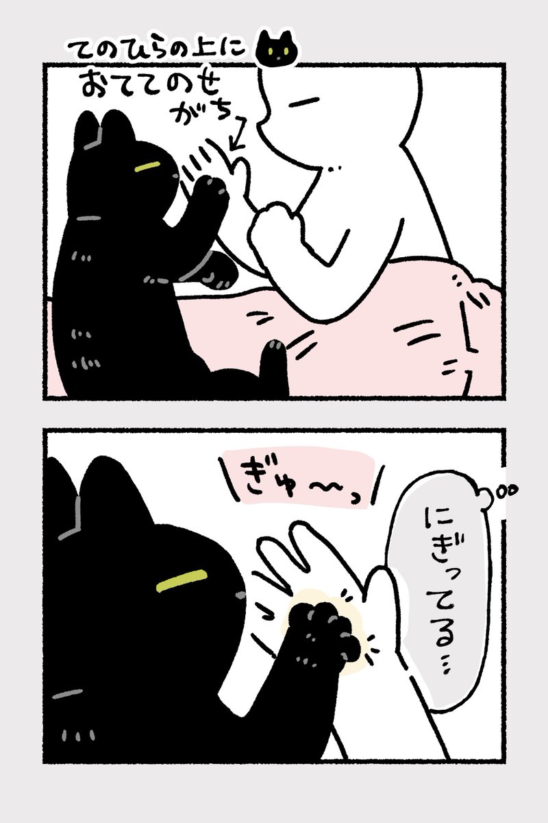 bou128's tweet photo. 最近、ろんさんの中で私の手のひらをギュッと握るのがブームになっているらしく、ほぼ毎日ギュッギュッとされている
こちらからも握り返すとまたギュッギュッと握り返してくれるので、朝起きる前とかにずっとお互いに手を握りあって遊んでいる https://t.co/BKCqUcsZx0