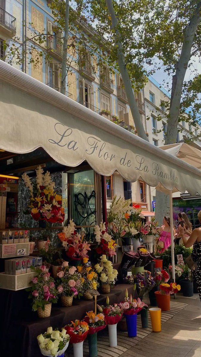 dreamyflowerrs's tweet photo. flower shop https://t.co/cuRWRDyPG5