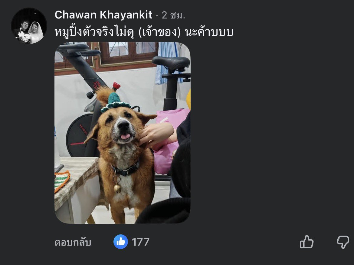 532am_'s tweet photo. เจ้าของออกมาบอกว่าตัวจริงน้องไม่ดุนะคั้บบบ หน้าตาเป็นเด็กดีมากต่างจากรูปที่บริจาคสุด ๆ 555555555555555 https://t.co/dPoNsDUgSC