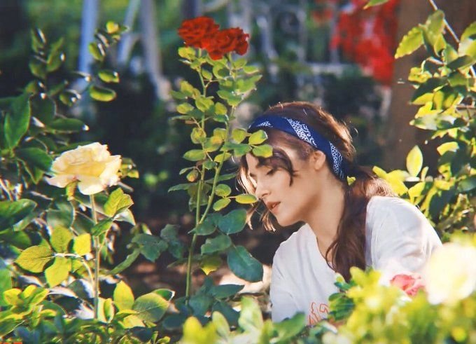 __FAIRYX__'s tweet photo. ✿ ɪɴꜱᴛᴀɢʀᴀᴍ ᴘᴏꜱᴛ. ✿
      — @ʜᴀɴᴅᴇ.ᴇɪɴᴀʀ.

Mi pequeño mundo. https://t.co/z9hvezXrmp