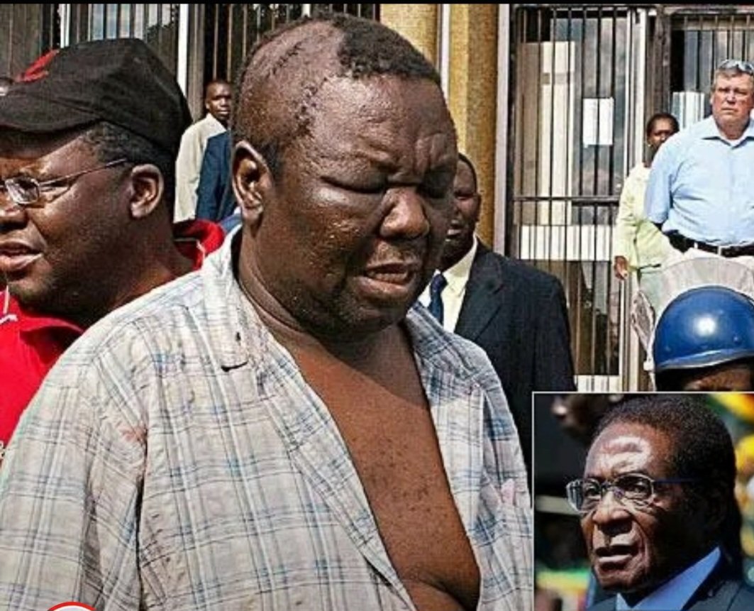 NolwaziNkomo5 tweet picture