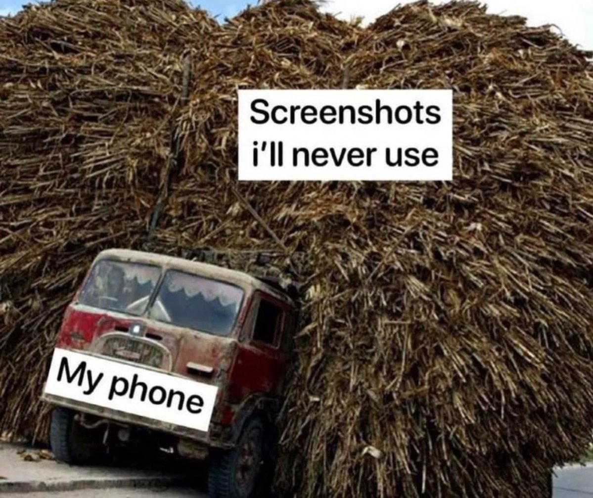NoContextHumans's tweet photo. My phone is full. https://t.co/Sdd9OImLpe
