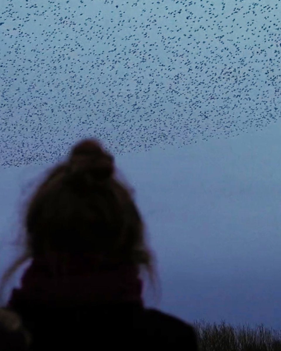 GuideDoc's tweet photo. 🎬 Now streaming on GuideDoc

The Night We Fell

Seven days after her husband Per dies in a tragic accident, Mette Hannibal's life is filmed by her own daughter, director Cille Hannibal, who turns the camera on her mother as a...

▶ https://t.co/WwnzFokqcY

#Documentary #GuideDoc