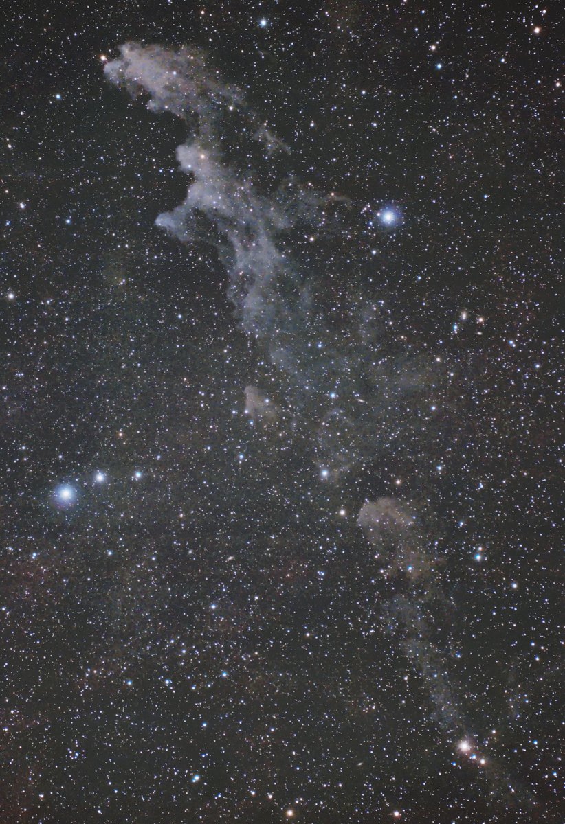 hosihosinosora's tweet photo. 「魔女の横顔星雲」
先週末の好天に撮影した魔女の横顔星雲（NGC1909、IC2118）です。オリオン座の1等星リゲルの近くにある大変淡い反射星雲です。淡く難物ですが独特の形をして好きな星雲の一つです。

2026.10.18
#天体写真 #星空 https://t.co/3PrMSGoDcF