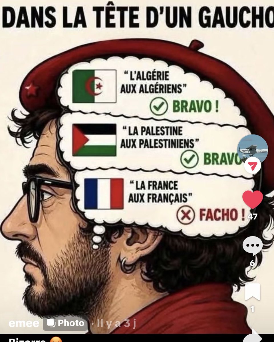 lapallissade's tweet photo. @LBleuBlancRouge https://t.co/HcdcDmPhT4