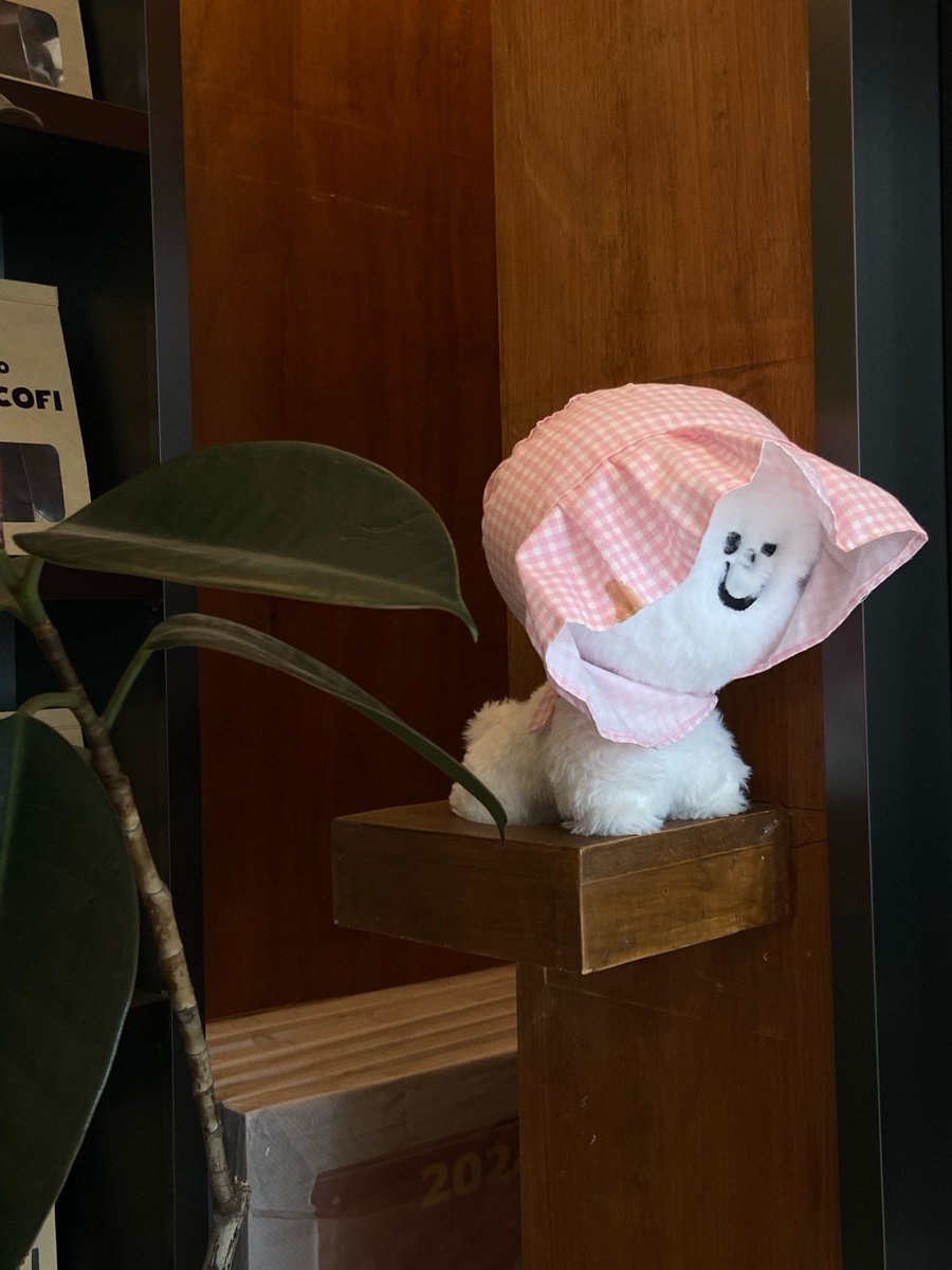 kengokun1983's tweet photo. [俅刨罢痪献は今日も元気です！日常の小さな幸せを探しに出かけます]， https://t.co/iAOwa1s5sc