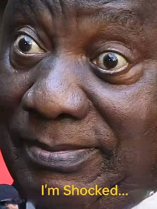 BeBetterZAR's tweet photo. @AdvoBarryRoux Zuma &amp; friends stole everything. Ramaphosa is clearly shocked that you failed to mention that. https://t.co/maQtIj6TGv