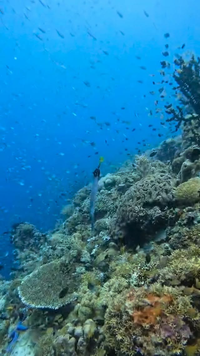 GeorgIISanta3e3's tweet photo. The unspoiled beauty of Limasawa. https://t.co/EDopyaQBU3