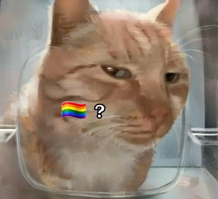 ninjatabis's tweet photo. ⠀╱     i’m  so  invested  in  gay  shit,  give  me  gay  interactions,  everything  👍🏻👍🏻 https://t.co/lhJiUGN2dx