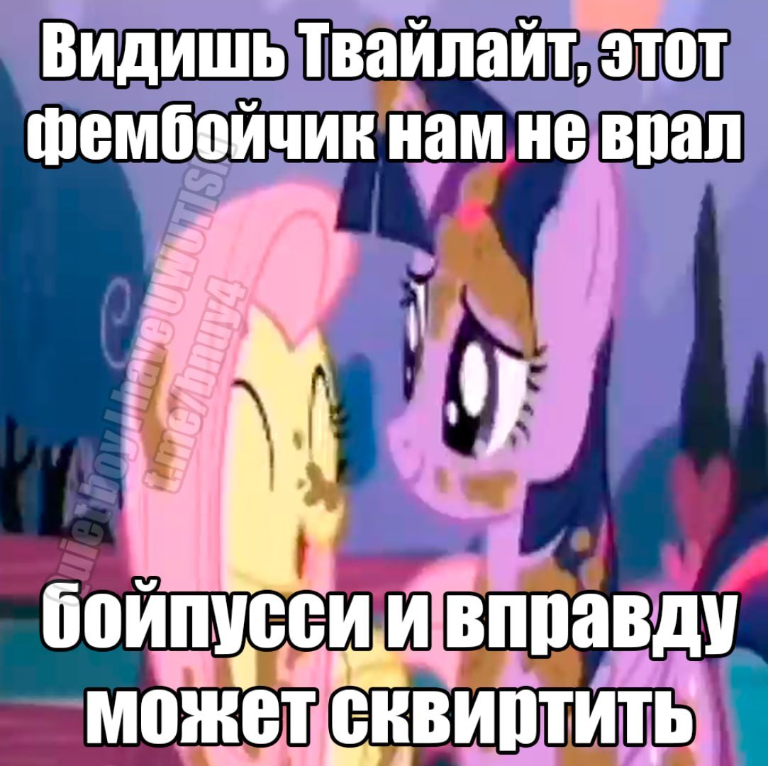 Shpymouse's tweet photo. https://t.co/OnrhbaamaS