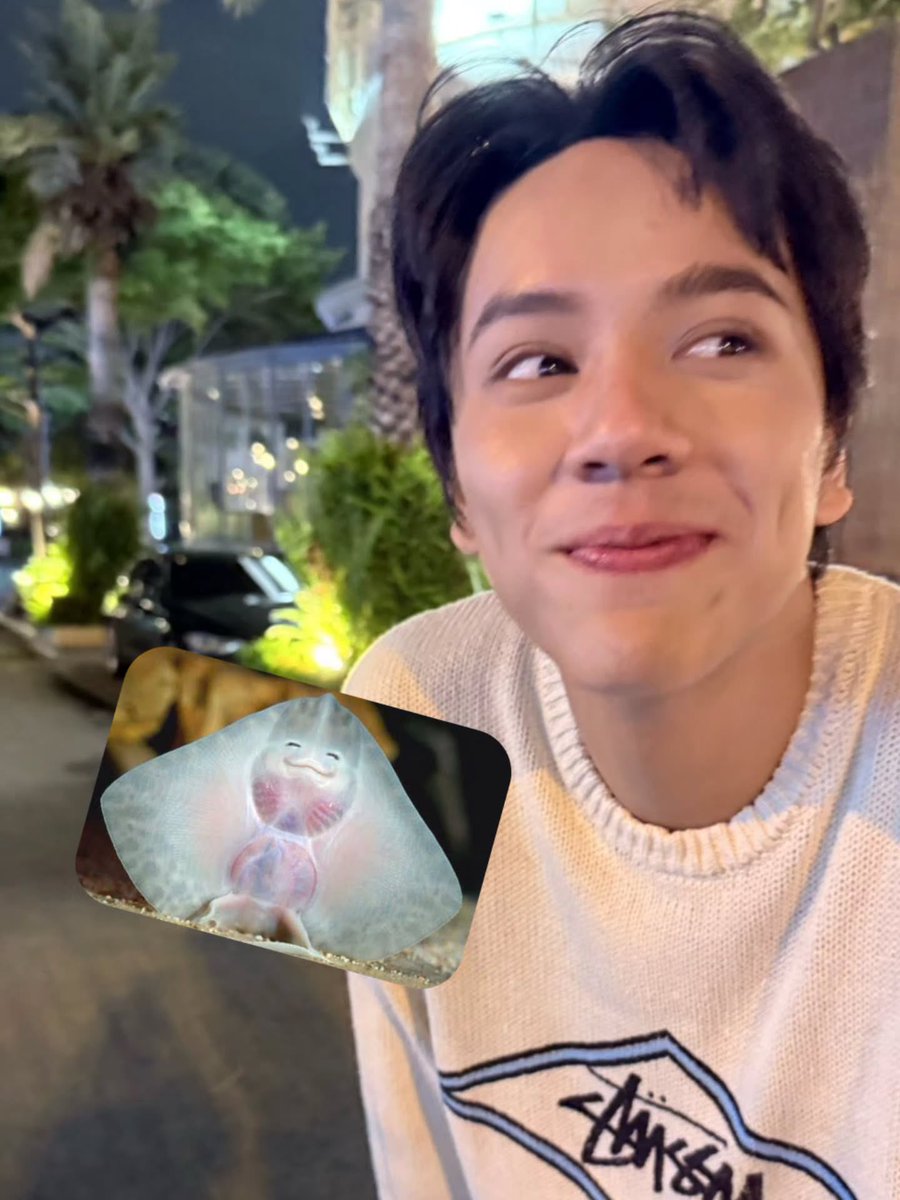 ars_jj7's tweet photo. น่ารักชิบเป๋งเลยยยยย

#mynameisnanon https://t.co/NNGC1bsJE6