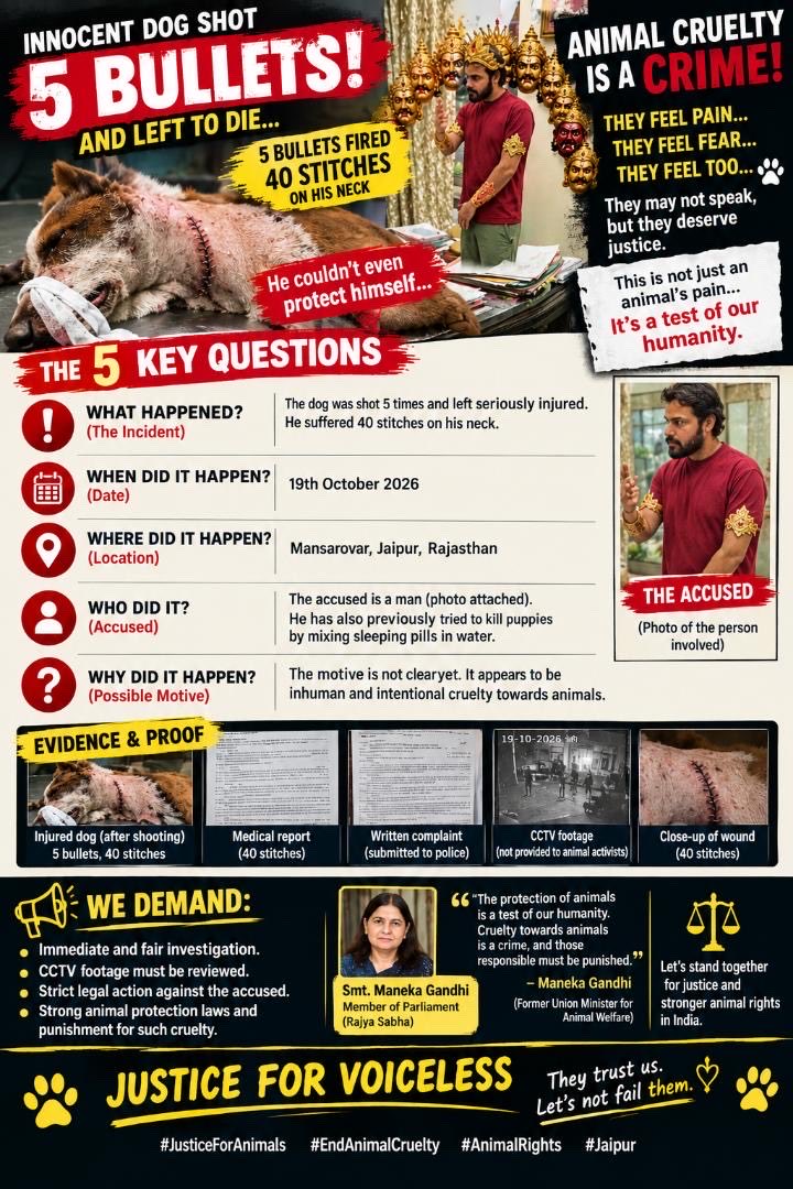 JahnaviIyer's tweet photo. A community dog was allegedly shot 5 times in Jaipur, suffering injuries that required 40 stitches. Yet activists allege that no FIR has been registered and the accused is roaming free after reportedly spending just a day in custody.

Is he being shielded because he is reportedly the son of a former jailor?

Is law and order dead in Rajasthan? 
Are some people above the law? Or have certain officers forgotten whom they are supposed to serve?

@jaipur_police @PoliceRajasthan preserve the CCTV evidence, register the appropriate case and ensure an impartial investigation. Justice cannot depend on family connections.

#SaveIndianDogs #SaveIndianAnimals #AmendPCA 

@AwbiBallabhgarh @pfaindia @PetaIndia @Manekagandhibjp @LiveLawIndia @narendramodi @RahulGandhi @JprRuralPolice @DcpWest @DcpJaipurEast @DCsofIndia @RajCMO @jsaideepak @annamalai_k @actorvijay @Tejasvi_Surya