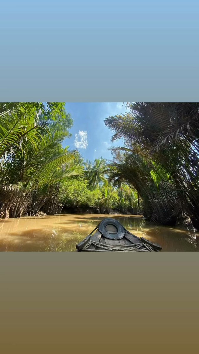 hallowgun's tweet photo. Discover the Mekong Delta, where winding waterways, floating markets, and vibrant local life create an unforgettable journey. https://t.co/gI4DY7DyN6