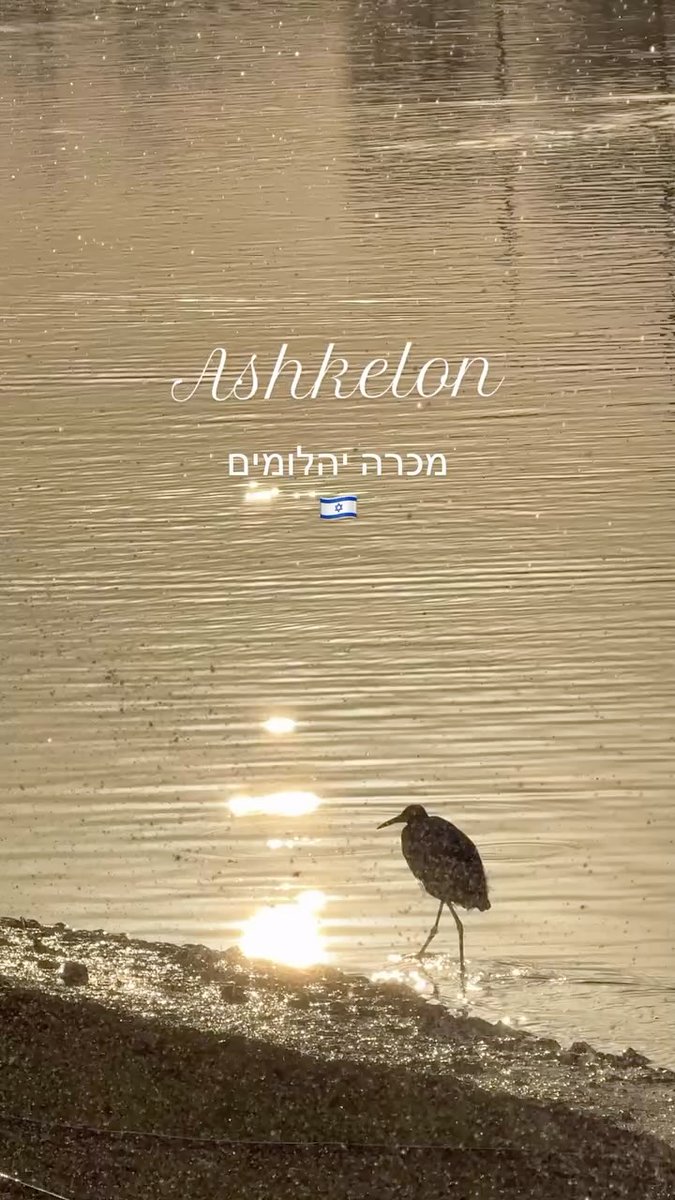 oyHammo740703's tweet photo. תמיד הייתה לי תשוקה ליהלומים. הם לא אוצר אבוד או מצרך נדיר, הם נמצאים סביבנו בחיי היומיום. לפעמים צריך רק לשים לב. את היהלומים שלי אני אוספת לנייד, שם נמצאת תיבת האוצרות הכי שמורה שלי. https://t.co/RlIx5z1BtH