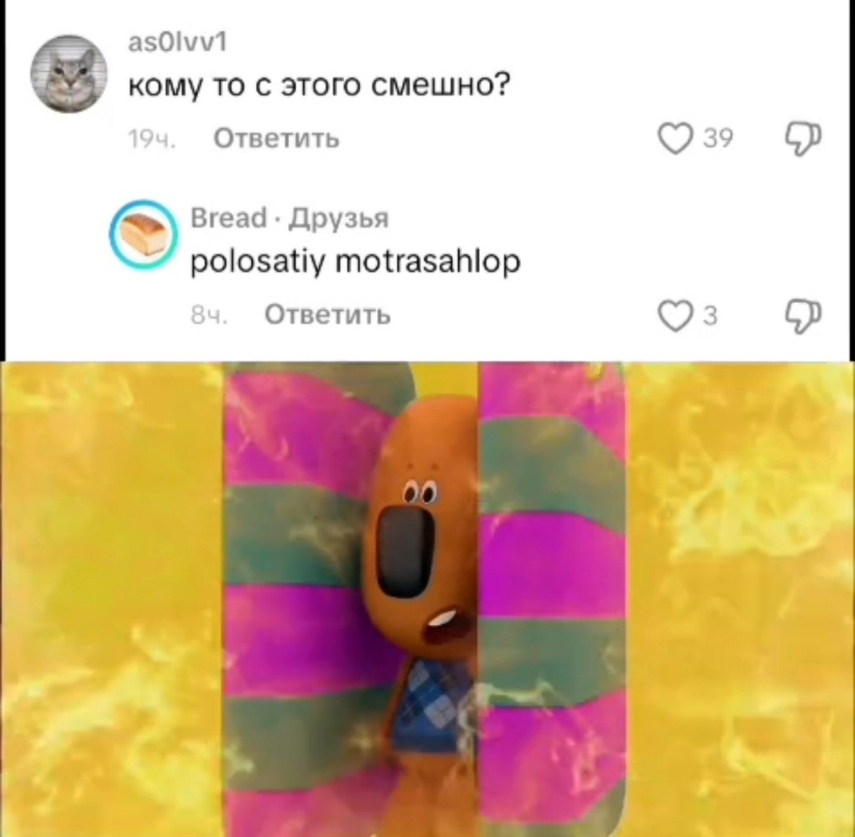 IWhiteRaven's tweet photo. polosatiy motrasahlop forever https://t.co/jLUoXsqVqx
