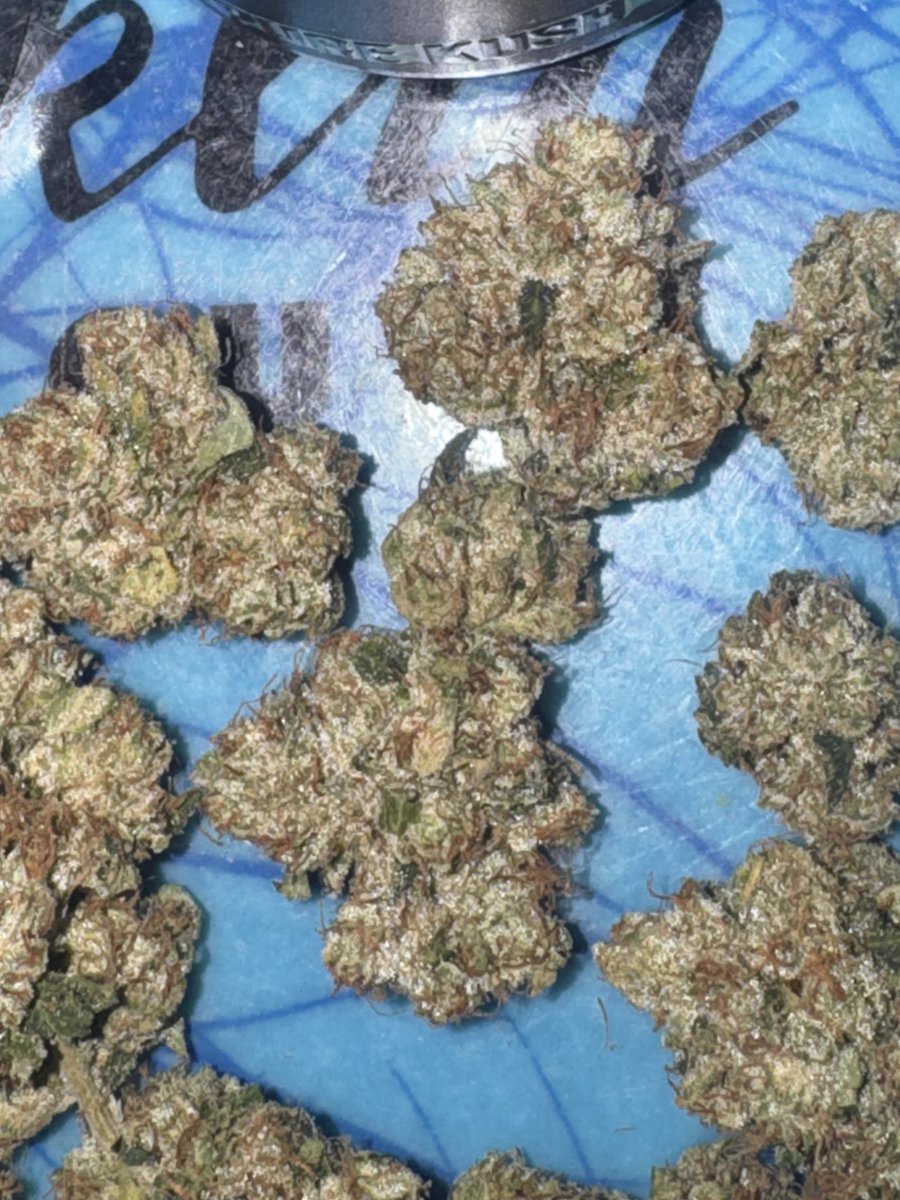 B58_TX's tweet photo. Pure Kush 

Headband (Loompa aka Underdog OG)

@evryonesmks https://t.co/uVyZFrADVJ