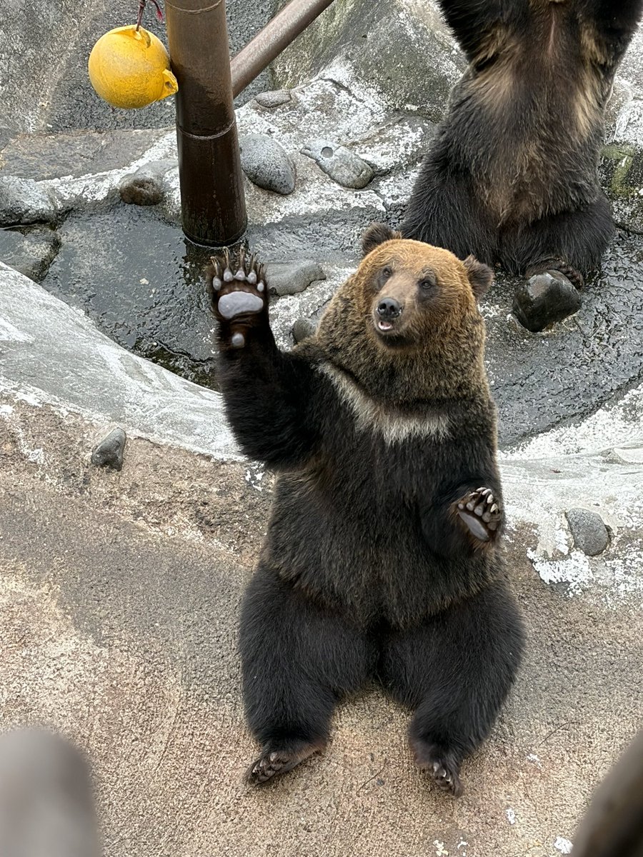 uin1699's tweet photo. 休日は、北海道でそれはそれはとてもとても癒されておりますた🥰
イクラ美味しすぎて逝っちゃった♡ https://t.co/7PYSpOAJ7i