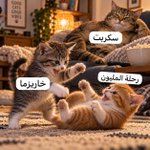 Photo by جواهر  (@joj3sb)