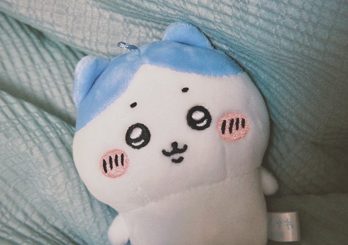 finallydday's tweet photo. 목욕 완료한 플레이참하치 근황 물든 것 많이 지워졌습니다😆 https://t.co/w44mVZcB7I