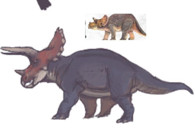 LaraTatapoulos's tweet photo. Triceratops Jurassic park redesign https://t.co/ZpL1RRPk5u