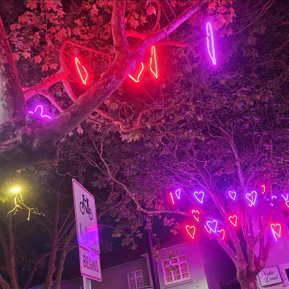 addenRa523589's tweet photo. Franklin Road Christmas lights, with a Dickens Street (Lone Kauri) interloper. Hari Kirihimete! https://t.co/IyETLSBHxJ