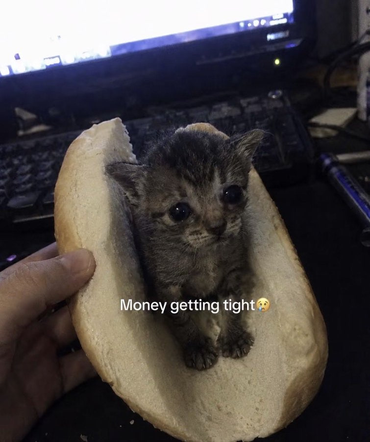 kolyposts's tweet photo. @Heyy_Alvi saved by satoshi https://t.co/E8XuQfeWZV