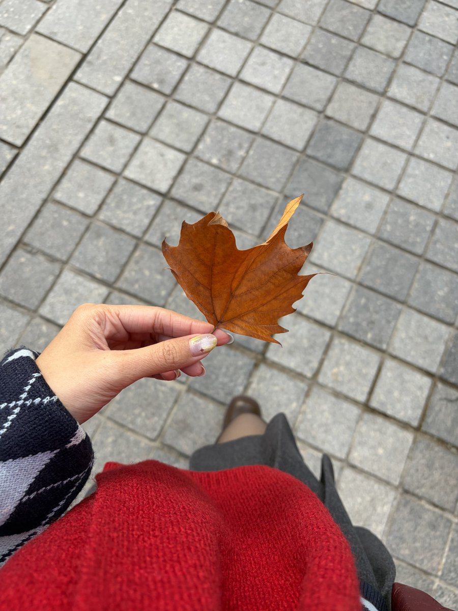 siraxkyungsoo's tweet photo. อยากรีวิวชิงเต่าแบบเรียลไทม์มาก แต่เดินขาลากทุกวัน ไม่มีเวลาเข้ามาเล่นเลย มีจุดให้แวะตลอด โดยเฉพาะตรง old town เดินวันเดียวก็ไม่ครบ ต้องให้เวลา เป็นเมืองที่สีสวย ถ่ายรูปได้ทุกมุมจริงๆ 👀📸🫶🏻

ขอกลับแล้วจะมาเรียบเรียง แชร์แพลนทีเดียวนะค้าบ https://t.co/EZ2vohGo6N