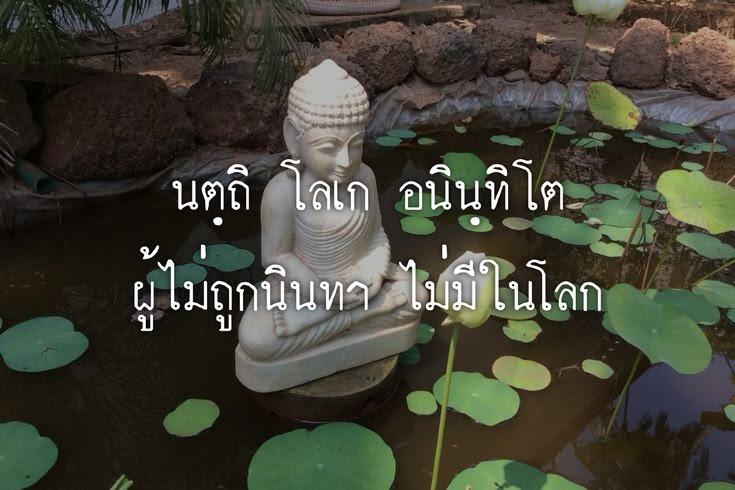 silentstorys's tweet photo. https://t.co/SORI9SaUka