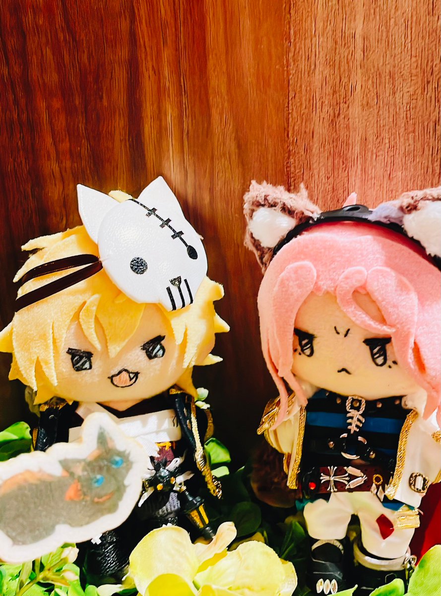 sameko_kbd's tweet photo. ふぇざらんぬいは、ハロウィンらんすろっとさんの飲み物を注文したよ

「ねこがいるな」
「本当だ❗️かわいいなッ❗️ねこッ‼️こっちに来てくれッ‼️」
「そんな大声で呼んだらビビらせちまうだろ」
「それもそうだな‼️そーっと見守るかッ❗️」

ハロウィンをエンジョイしているふたりだね https://t.co/5XdXAlxNO4
