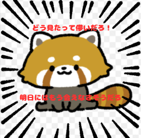 huyuqkl's tweet photo. どう見たって儚いだろ！
明日にはもう会えなさそうだろ！ https://t.co/A2P4ry5fT9