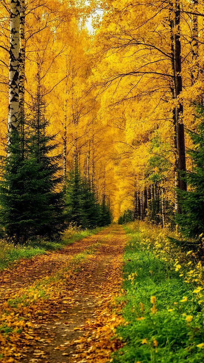 natureinspai45's tweet photo. https://t.co/a7hCXYR7Wg