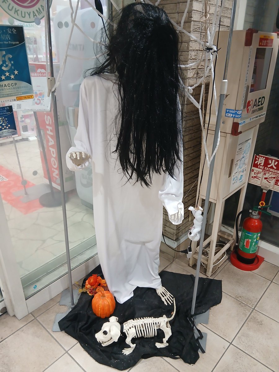 bath2Q's tweet photo. 貞子と骨ドッグ https://t.co/43kUVI64i8