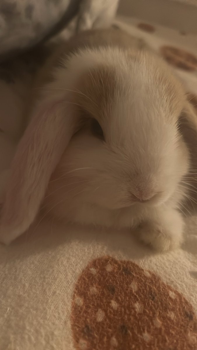 onewingedprayer's tweet photo. #shedtwt how many calories is he? https://t.co/Kp25PBlXLN