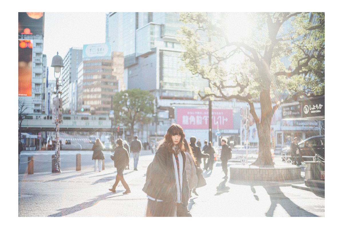 GULLET_photo's tweet photo. #nikon #zf #photography #presence 

model : @sosokac_ https://t.co/CDmgMqRMmI