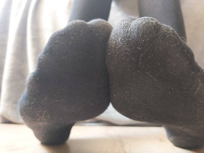 Goddess_Cat_1's tweet photo. Ahhh someone is already drolling just after seeing my dirty socks, pathetic~ https://t.co/K9lUVSf5sC