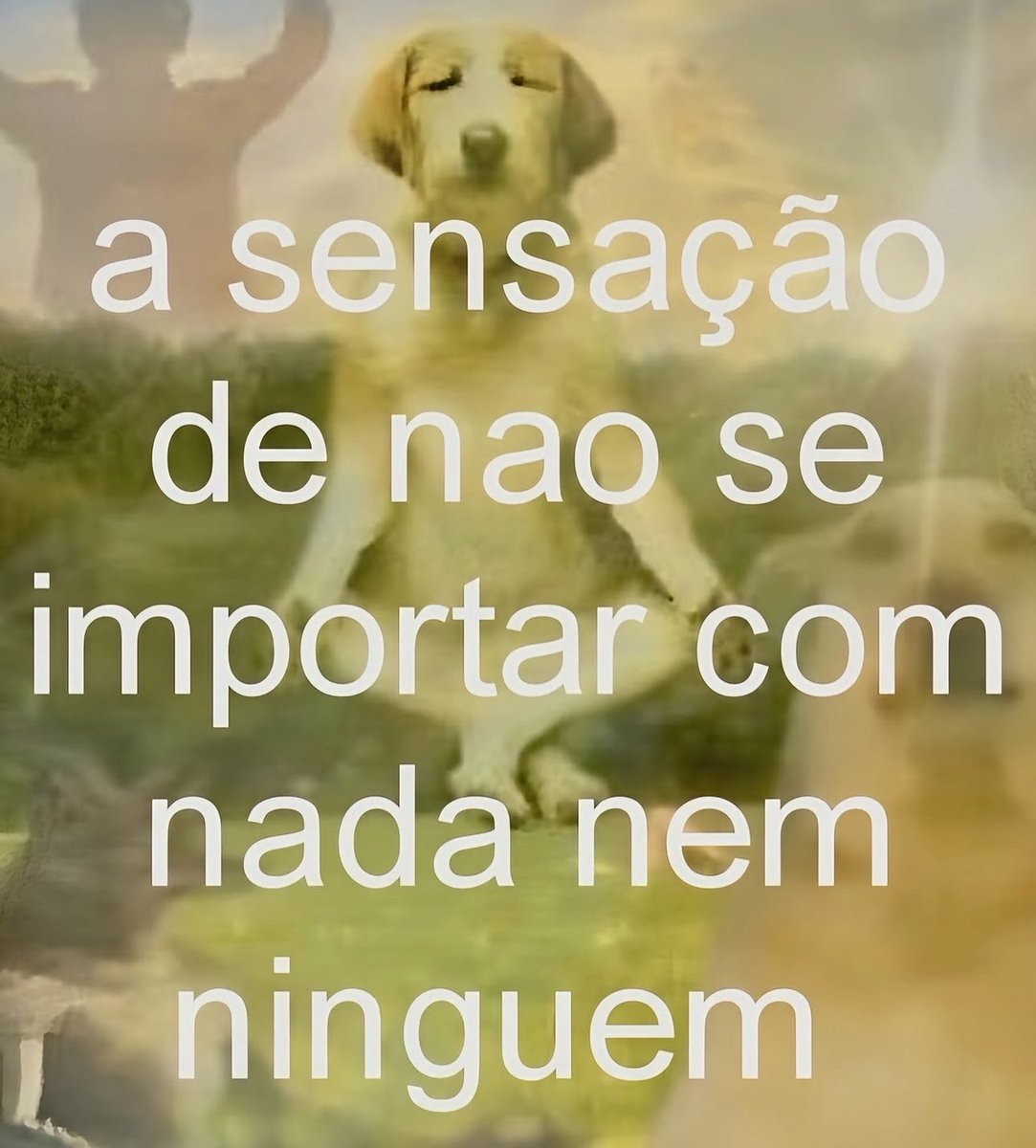 shitpostverdade's tweet photo. https://t.co/31JXIn74WX