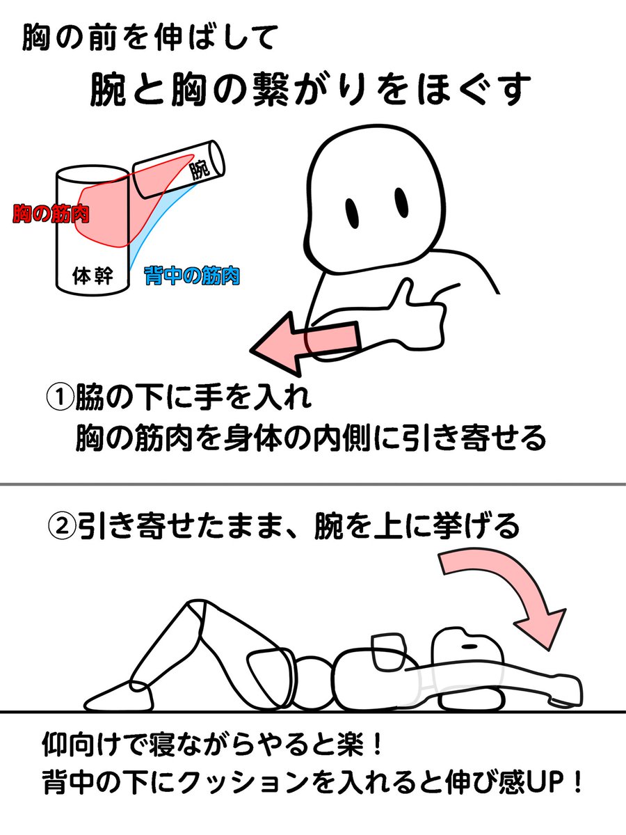 NakayosiHitori's tweet photo. まじで綺麗に胸を大きくするのって大変だと思います。胸筋で土台作ったり、周りに脂肪が逃げないようにケアしたり。
乳腺に関しては個人差があると思うので、誰にでもできることは下着のフィッティングとかになると思ってます。 https://t.co/aUSk3v94vi