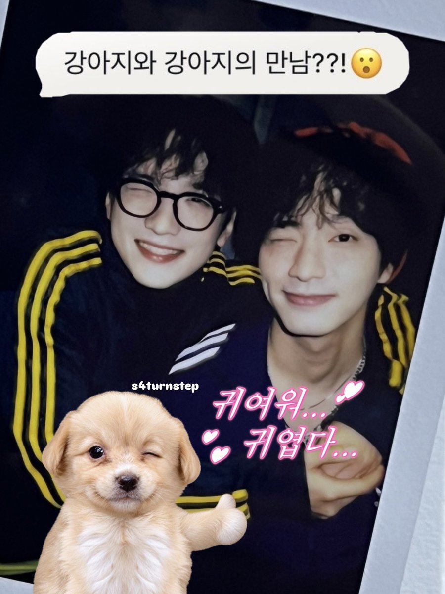 s4turnstep's tweet photo. 우리가 강아지햐..~~ https://t.co/x93TkR24JU