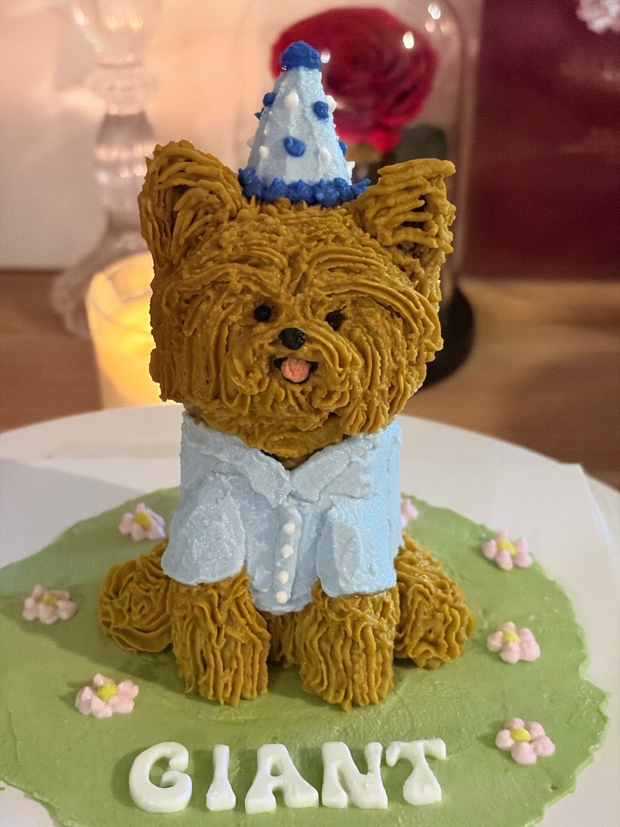 BounPrem_TH_OFC's tweet photo. [24.10.2026] IG updated : thegiant.yorkshireteacup 

ปะป๊ามาป้อนเค้กแฮปปี้เบิร์ดเดย์ไจแอนท์ด้วยก๊าบบ แอ้นๆโตเป็นหนุ่มแน้ว 5 ขวดบริบูรณ์ ขอบคุงของขวัญแยะเค้กอาหย่อยๆจาก @.thonglorpet มากๆเลยงับป๋มม 🐶🎂🫶🏻

(1)
📍 https://t.co/L9Dezzet5E

#bb0un https://t.co/DPQeH8kRtq