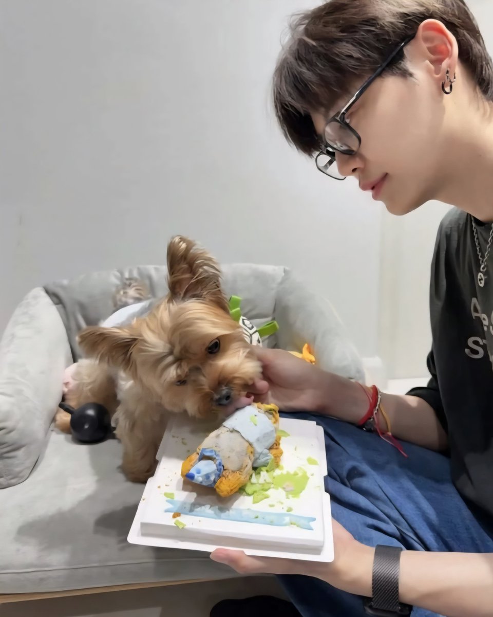 BP_PB_Py's tweet photo. Update 24/10/26 🎈🎉
 IG : thegiant.yorkshireteacup

Happy Birthday Giant 🐶♥️🎊🎉

https://t.co/DLbaDKos8Z

#bb0un https://t.co/Nki70TbEU3