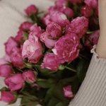 Photo by ليـان الحارثي ‏ (@Layan_4004)